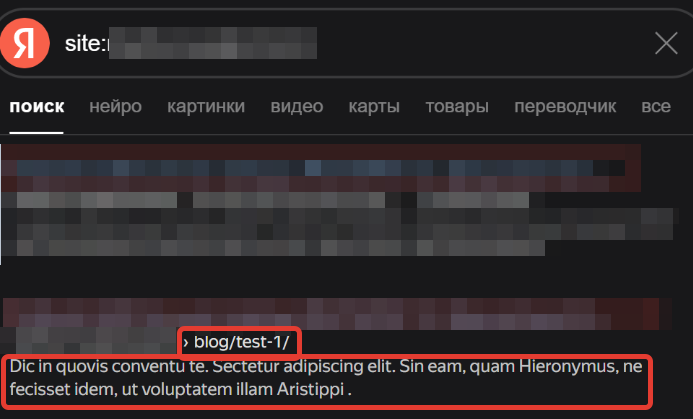 Тестовые страницы в индексе поисковых систем